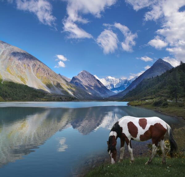Charting Russia's Future: National Goals for 2030 and 2036 5 Ecological well-being
